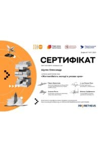 сертификат шуляк жизнестойкость молодежи в условиях кризисов